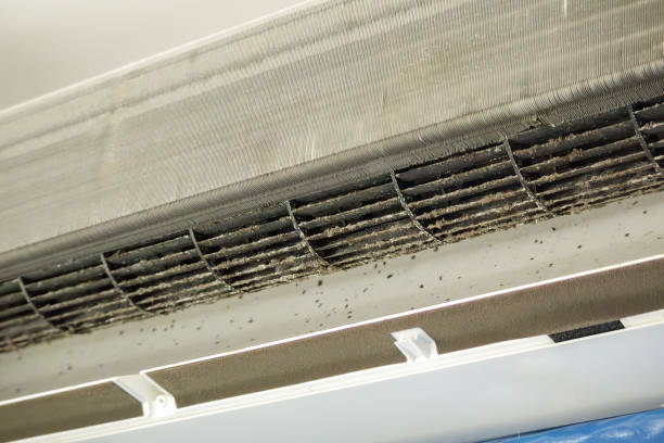 Best Air Duct Cleaning Near Me in Adams, WI